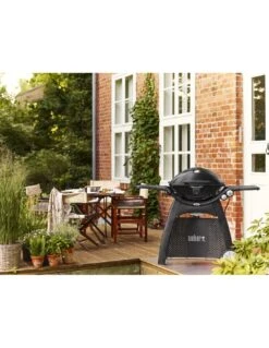 Barbecue Soldes -Barbecue Soldes barbecue a gaz q 3200 noir avec chariot et lampe 1