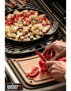 Barbecue à Gaz Weber Traveler Noir Avec Chariot 22 Barbecue à Gaz Weber Traveler Noir Avec Chariot -Barbecue Soldes barbecue a gaz weber traveler noir avec chariot 9