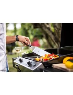 ENO Combo Plancha Chambord 60 Inox Avec Chariot 10 ENO Combo Plancha Chambord 60 Inox Avec Chariot -Barbecue Soldes combo plancha chambord 60 inox avec chariot 4