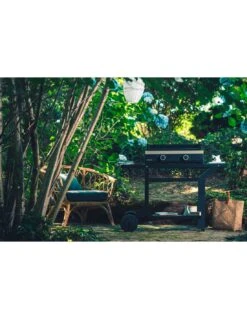 Plancha Modern G60 à Gaz Acier Noir Et Gris Clair - Forge Adour 13 Plancha Modern G60 à Gaz Acier Noir Et Gris Clair - Forge Adour -Barbecue Soldes plancha modern g60 a gaz acier noir et gris clair forge adour 5