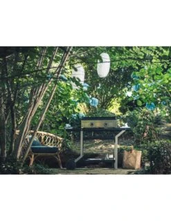 Plancha Modern G60 I Inox à Gaz - 8 à 10 Personnes 8 Plancha Modern G60 I Inox à Gaz - 8 à 10 Personnes -Barbecue Soldes plancha modern g60 i inox a gaz 8 a 10 personnes 2