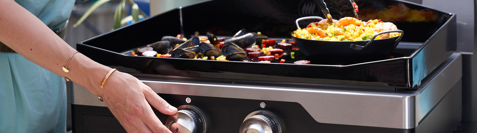 Barbecue Soldes 2 Barbecue Soldes -Barbecue Soldes plancha